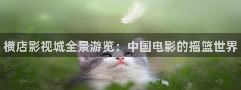 大地资源在线观看免费完整版电影：横店影视城全景游览：中国电影的摇篮世界
