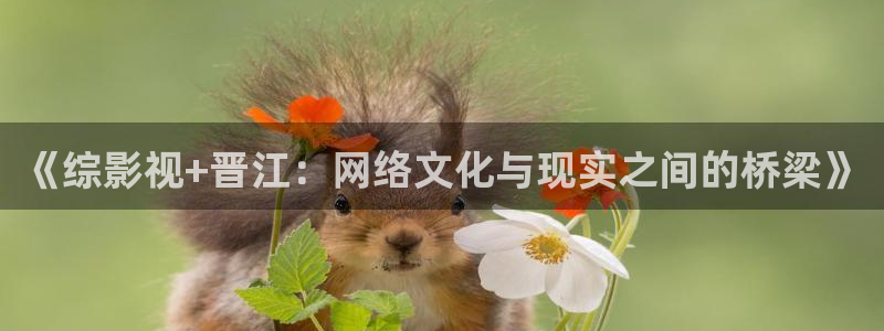 大地影院今日电影：《综影视+晋江：网络文化与现实之间的桥梁》