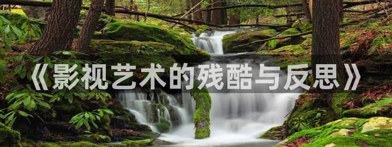 大地影视资源：《影视艺术的残酷与反思》