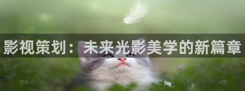 大地第二资源在线影视中文高清版：影视策划：未来光影美学的新篇章